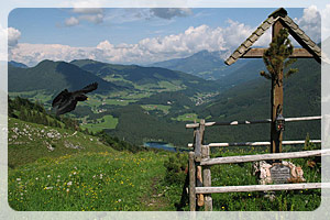 Ferienwohnung Hirschpoint Ramsau bei Berchtesgaden